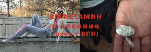 шишки Магас