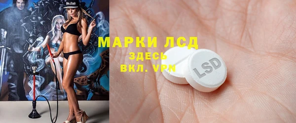 шишки Магас
