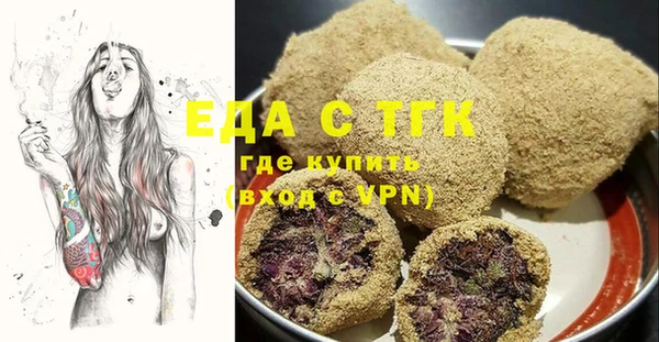 шишки Магас