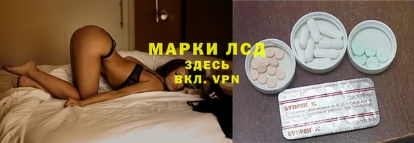 сатива Магадан