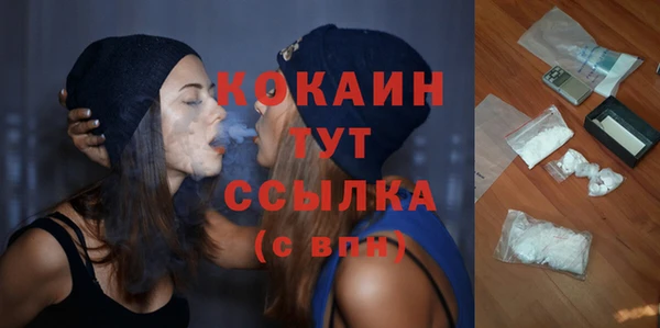 сатива Магадан