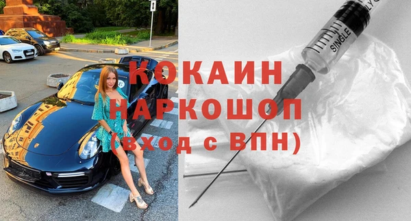 шишки Магас