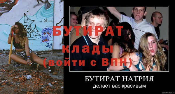 сатива Магадан