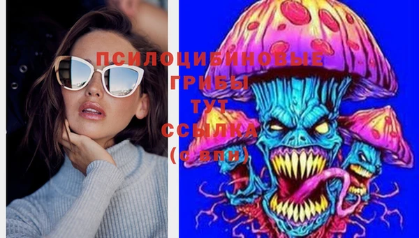 шишки Магас