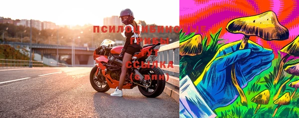 шишки Магас