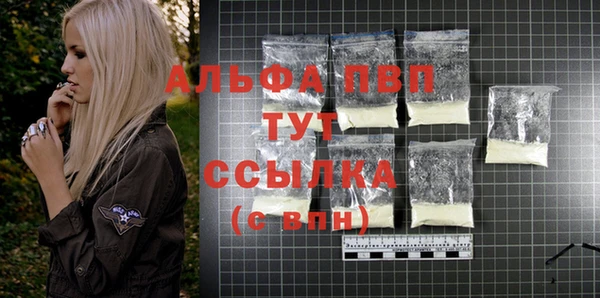 шишки Магас
