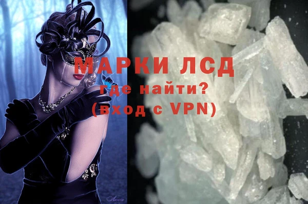 шишки Магас