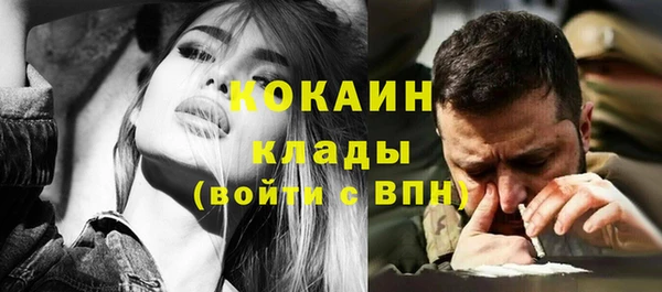 шишки Магас