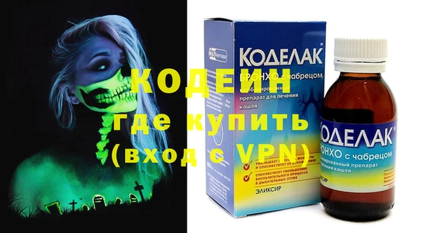 шишки Магас