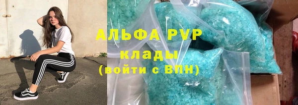 сатива Магадан