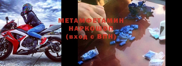 сатива Магадан