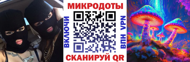 блэк спрут зеркало  Находка  Псилоцибиновые грибы MAGIC MUSHROOMS 