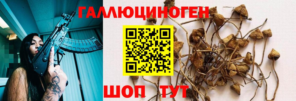 Находка  Галлюциногенные грибы ЛСД  закладка  Вход с VPN  Галлюциногенные грибы прущие грибы 